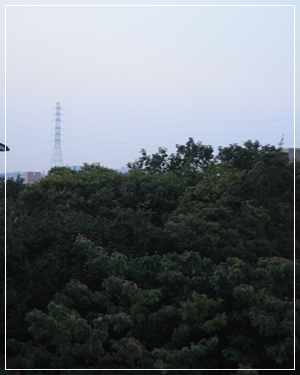 c0186410_19382852.jpg
