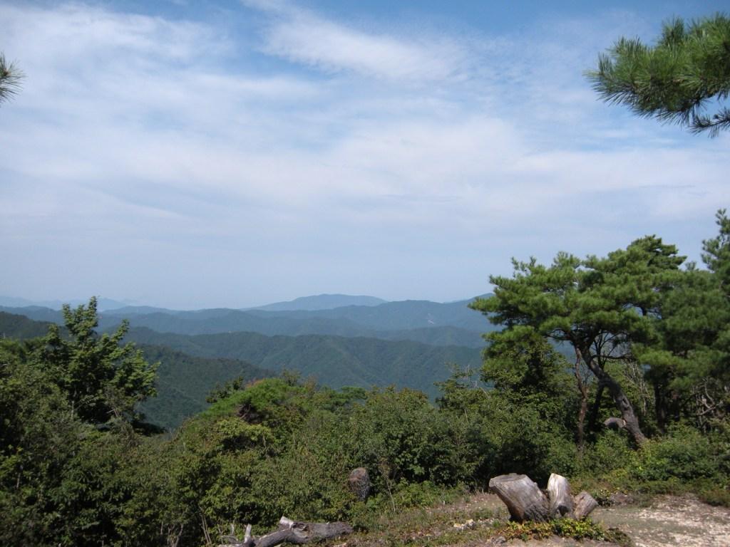 f0219810_21305496.jpg