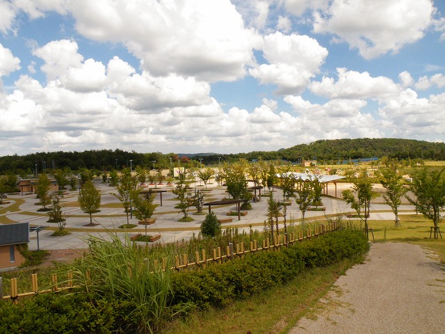c0127617_17281379.jpg