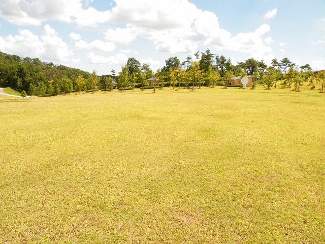 c0127617_1735117.jpg