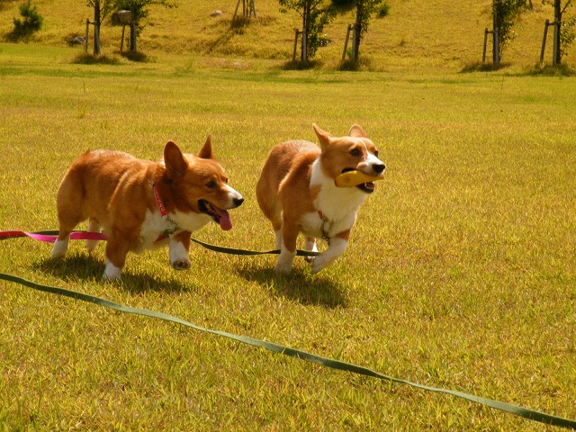 c0127617_17361420.jpg