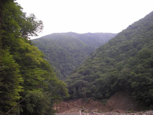 d0168318_20535632.jpg