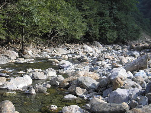 d0168318_22344341.jpg