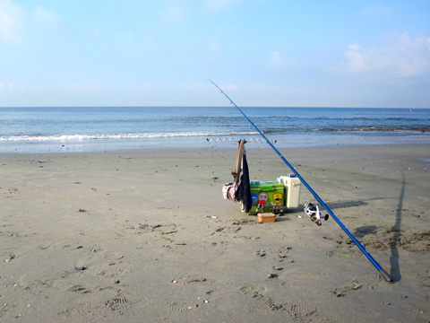 b0186119_186460.jpg