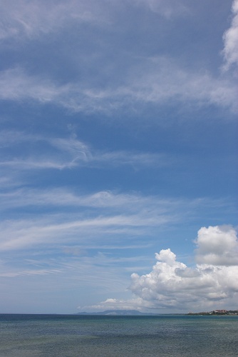 c0089419_9132565.jpg