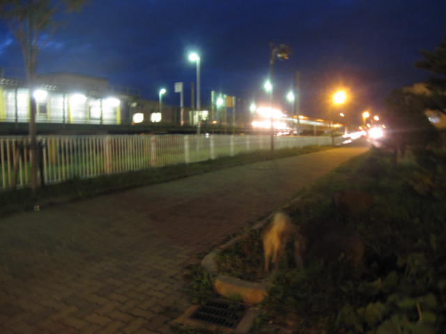 e0191826_23235930.jpg
