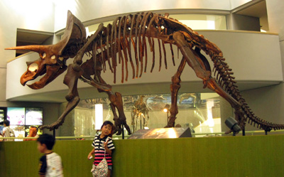 e0013927_1355087.jpg
