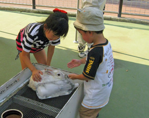 e0013927_14143669.jpg