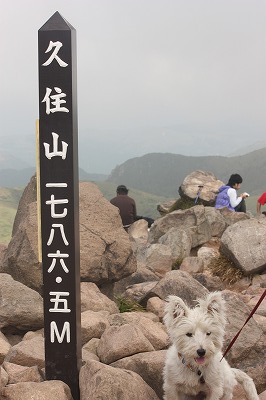 e0181928_222529100.jpg