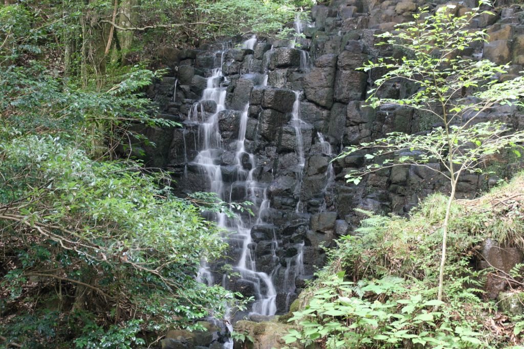 e0033229_2212235.jpg