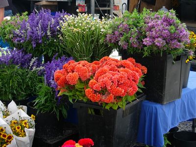 f0200433_20165434.jpg