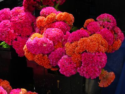 f0200433_2016951.jpg