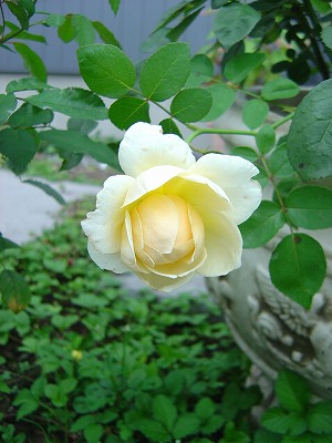 f0205733_16152236.jpg