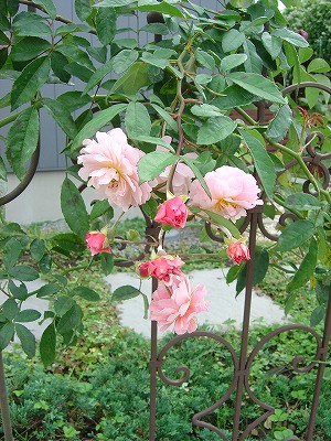 f0205733_161875.jpg