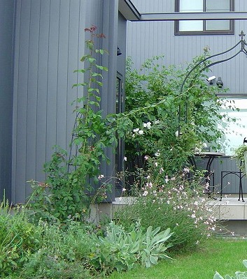 f0205733_16252564.jpg