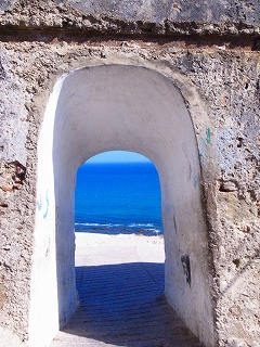 f0204737_621774.jpg
