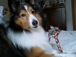f0210439_2143115.jpg