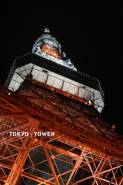 d0173942_1122414.jpg