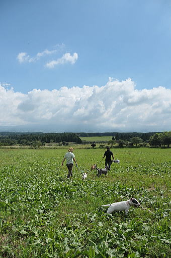 f0094843_1592963.jpg
