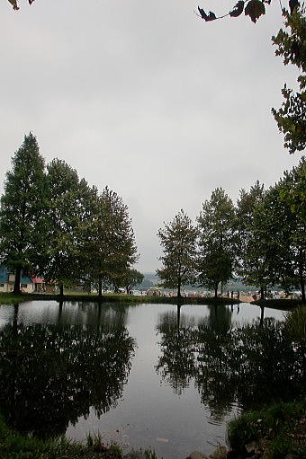 f0094843_1612067.jpg