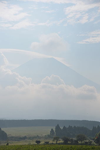f0094843_16174669.jpg