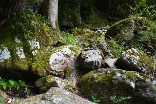 b0200747_20351526.jpg