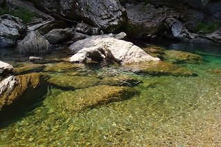 b0200747_2036561.jpg