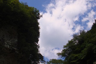 b0200747_20383639.jpg