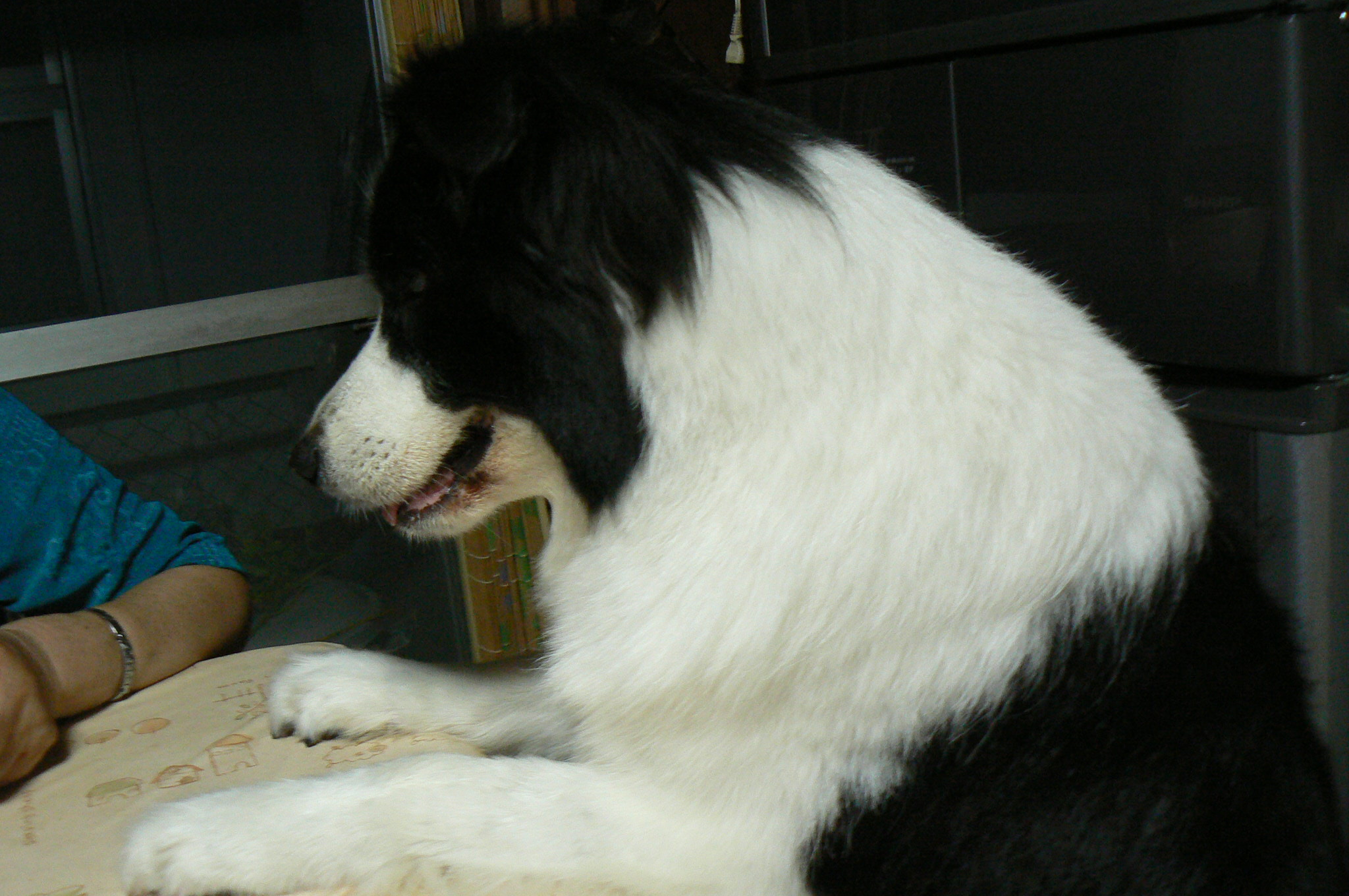 b0177649_22164145.jpg
