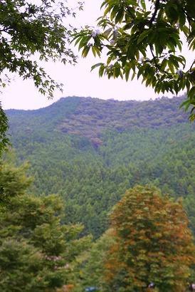 b0153550_22244467.jpg