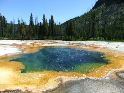 f0228053_6361982.jpg