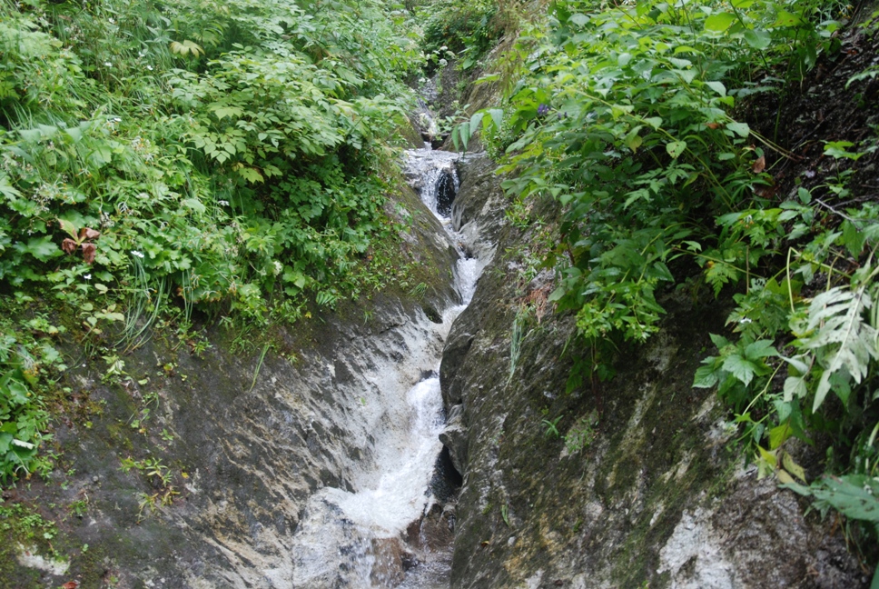 d0169556_18151312.jpg