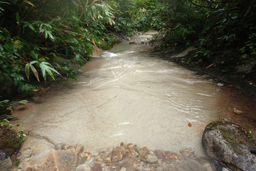 d0169556_18172697.jpg