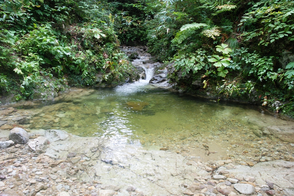 d0169556_18335642.jpg