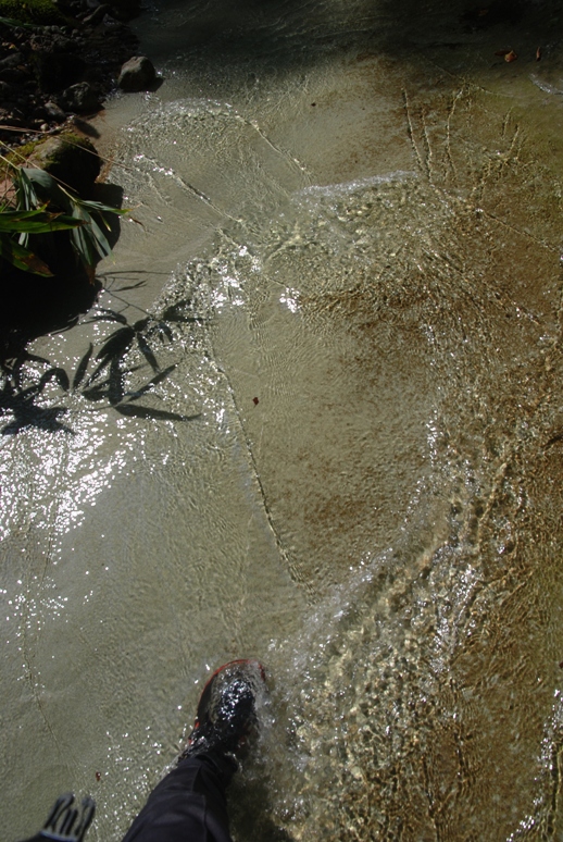 d0169556_18364824.jpg