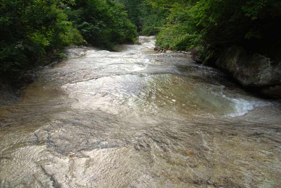 d0169556_1874964.jpg