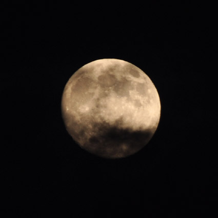 e0147669_2223090.jpg