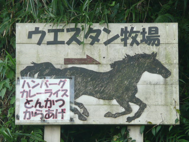 a0154870_1536225.jpg