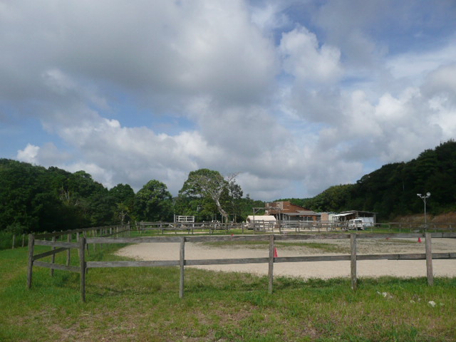 a0154870_15394070.jpg