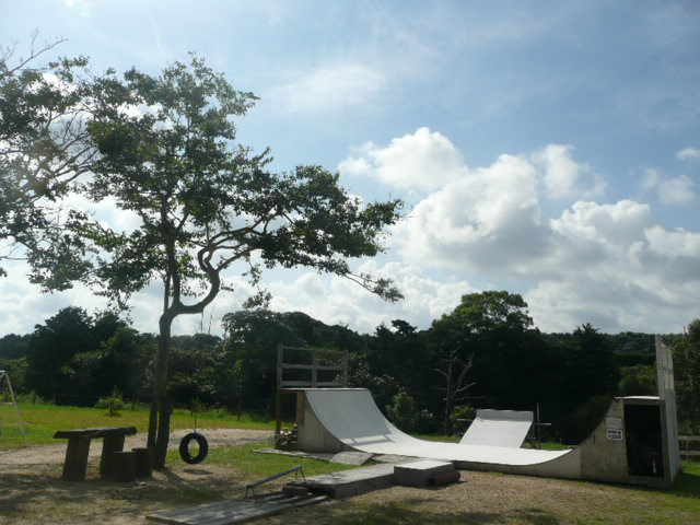 a0154870_15411562.jpg