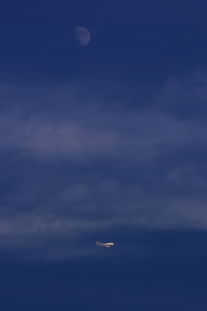 f0058275_22252896.jpg
