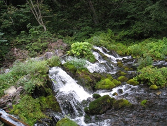 b0156080_14551259.jpg