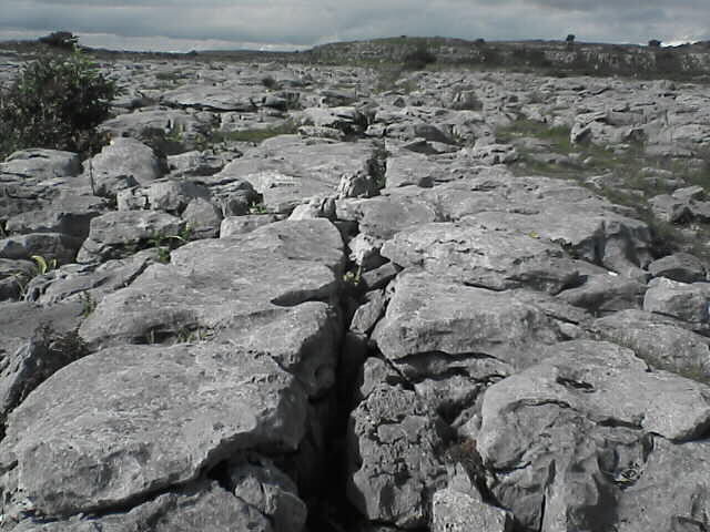 c0069380_10481460.jpg