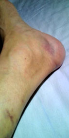 e0058280_1720624.jpg