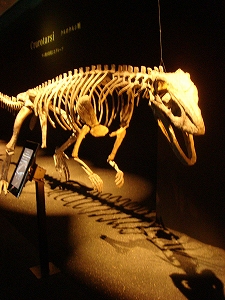 f0171180_23232780.jpg