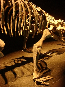 f0171180_23233688.jpg