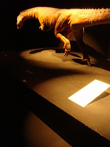 f0171180_23243792.jpg