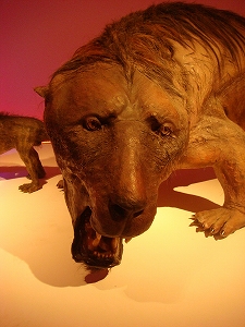 f0171180_23244733.jpg