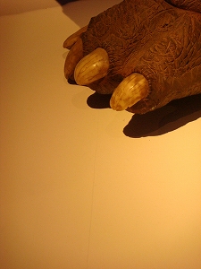 f0171180_23254529.jpg