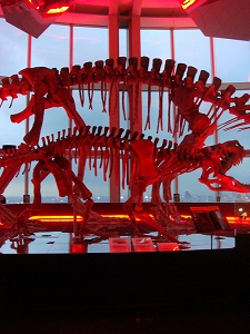 f0171180_2325830.jpg